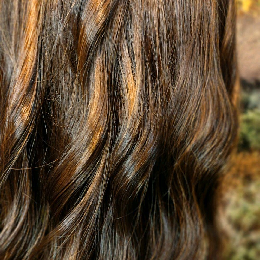 SOPHIA - Chestnut